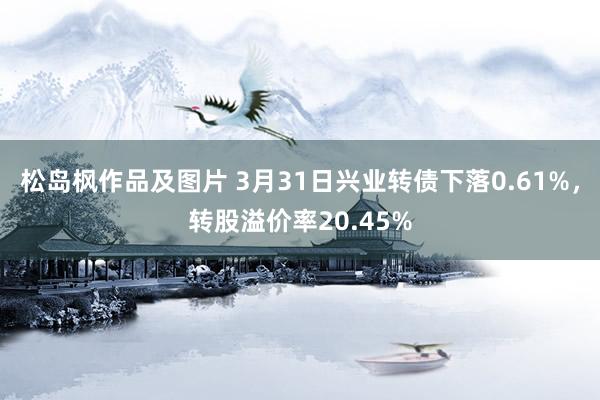 松岛枫作品及图片 3月31日兴业转债下落0.61%，转股溢价率20.45%