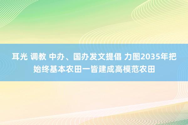 耳光 调教 中办、国办发文提倡 力图2035年把始终基本农田一皆建成高模范农田
