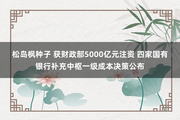 松岛枫种子 获财政部5000亿元注资 四家国有银行补充中枢一级成本决策公布