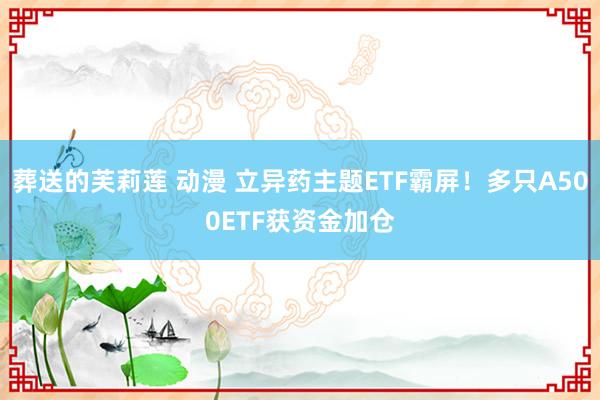 葬送的芙莉莲 动漫 立异药主题ETF霸屏！多只A500ETF获资金加仓