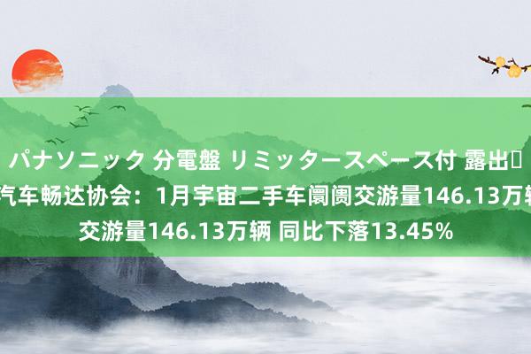 パナソニック 分電盤 リミッタースペース付 露出・半埋込両用形 中国汽车畅达协会：1月宇宙二手车阛阓交游量146.13万辆 同比下落13.45%