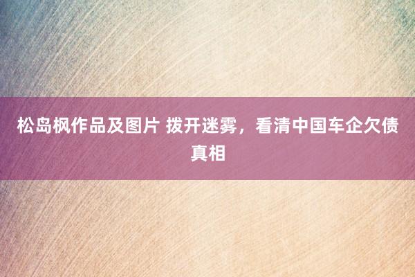 松岛枫作品及图片 拨开迷雾，看清中国车企欠债真相
