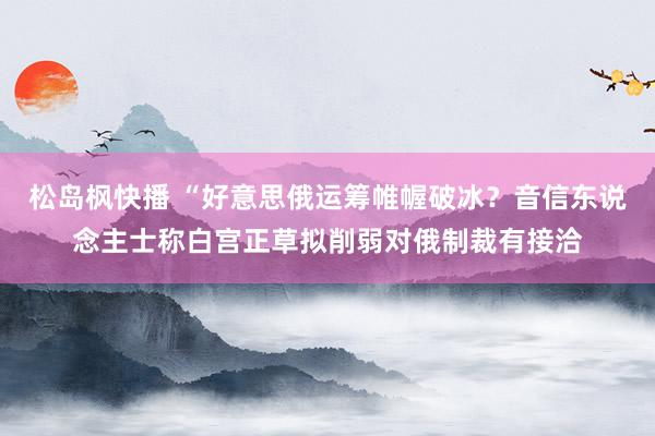 松岛枫快播 “好意思俄运筹帷幄破冰？音信东说念主士称白宫正草拟削弱对俄制裁有接洽