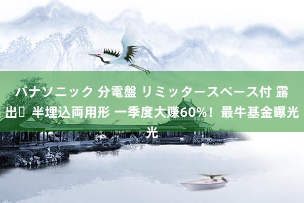 パナソニック 分電盤 リミッタースペース付 露出・半埋込両用形 一季度大赚60%！最牛基金曝光