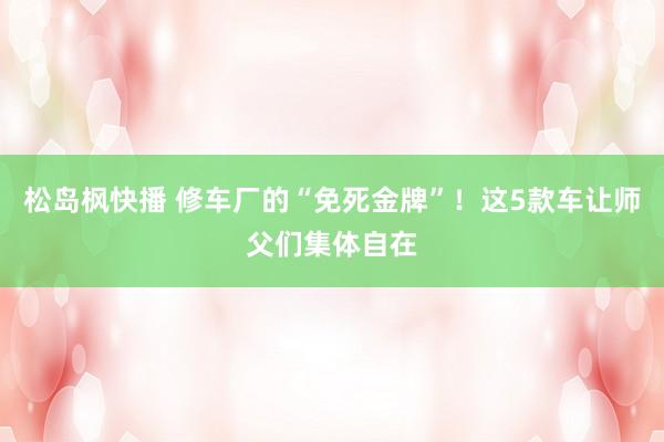 松岛枫快播 修车厂的“免死金牌”！这5款车让师父们集体自在