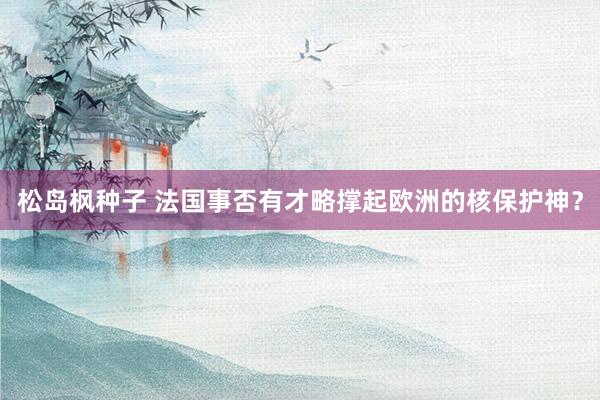 松岛枫种子 法国事否有才略撑起欧洲的核保护神？