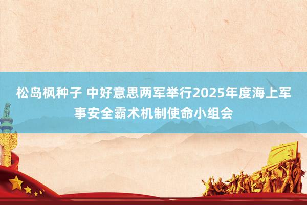 松岛枫种子 中好意思两军举行2025年度海上军事安全霸术机制使命小组会