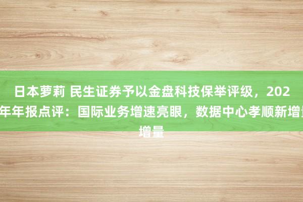 日本萝莉 民生证券予以金盘科技保举评级，2024年年报点评：国际业务增速亮眼，数据中心孝顺新增量