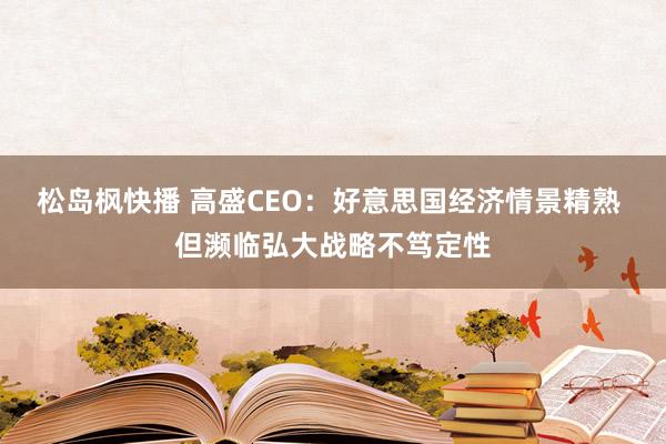 松岛枫快播 高盛CEO：好意思国经济情景精熟 但濒临弘大战略不笃定性