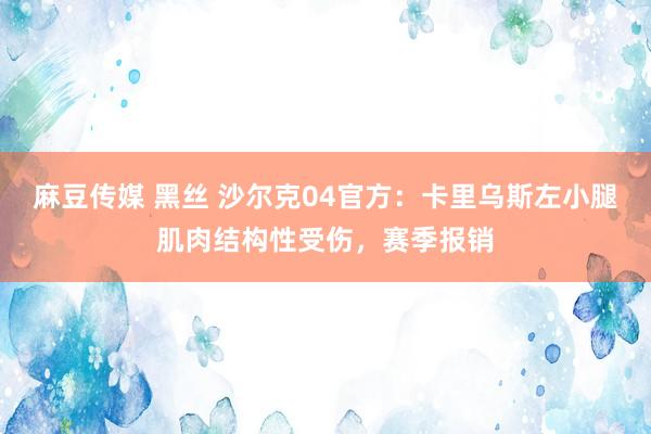 麻豆传媒 黑丝 沙尔克04官方：卡里乌斯左小腿肌肉结构性受伤，赛季报销