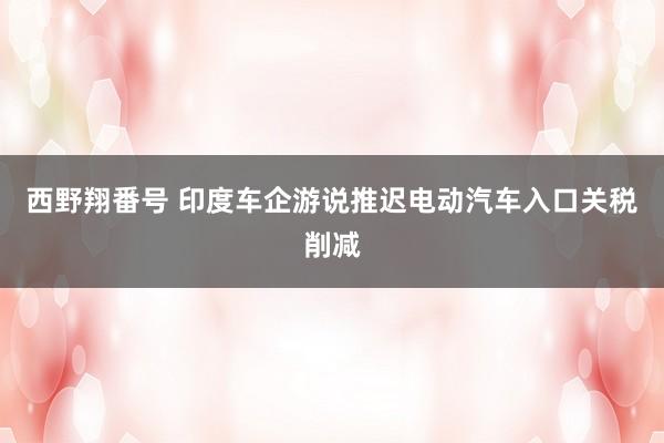 西野翔番号 印度车企游说推迟电动汽车入口关税削减