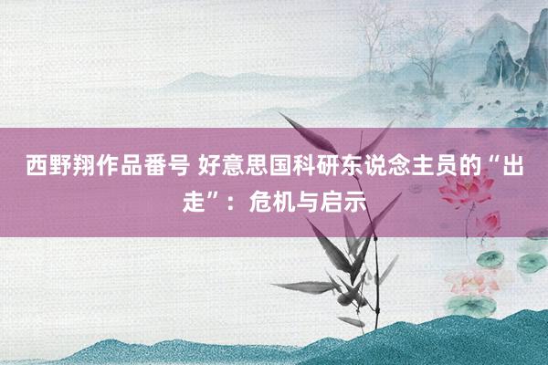 西野翔作品番号 好意思国科研东说念主员的“出走”：危机与启示