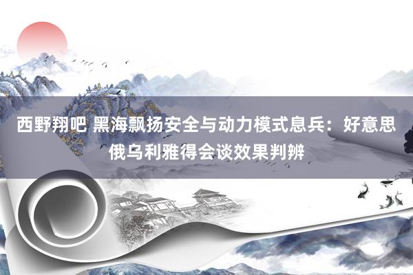 西野翔吧 黑海飘扬安全与动力模式息兵：好意思俄乌利雅得会谈效果判辨