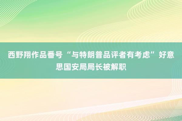 西野翔作品番号 “与特朗普品评者有考虑” 好意思国安局局长被解职