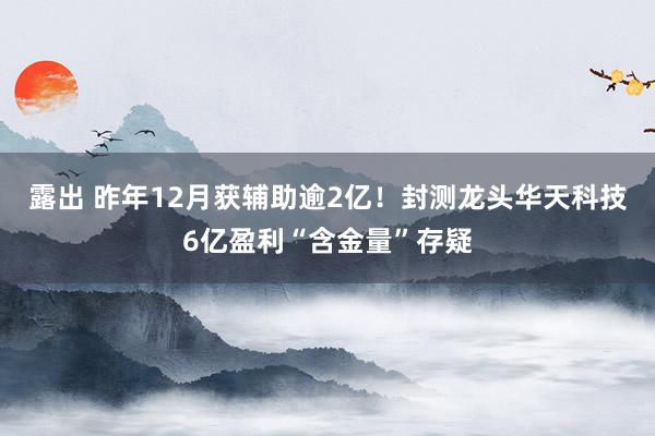 露出 昨年12月获辅助逾2亿！封测龙头华天科技6亿盈利“含金量”存疑
