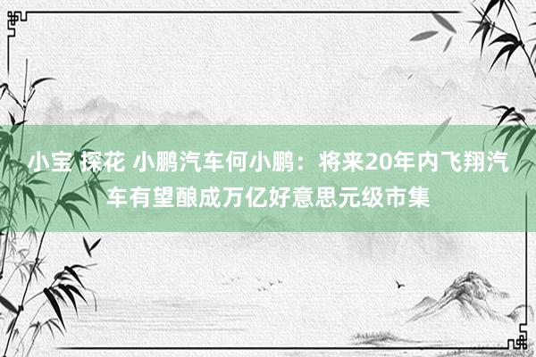 小宝 探花 小鹏汽车何小鹏：将来20年内飞翔汽车有望酿成万亿好意思元级市集