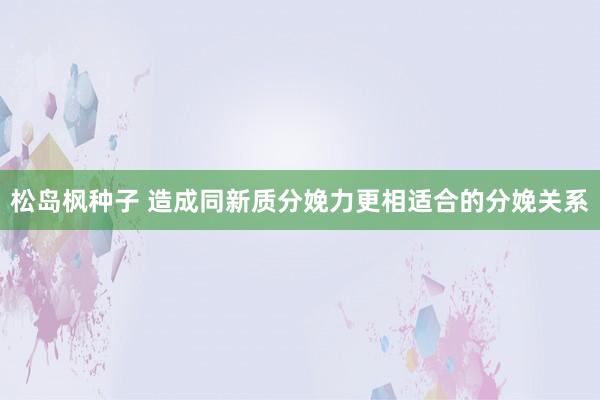 松岛枫种子 造成同新质分娩力更相适合的分娩关系