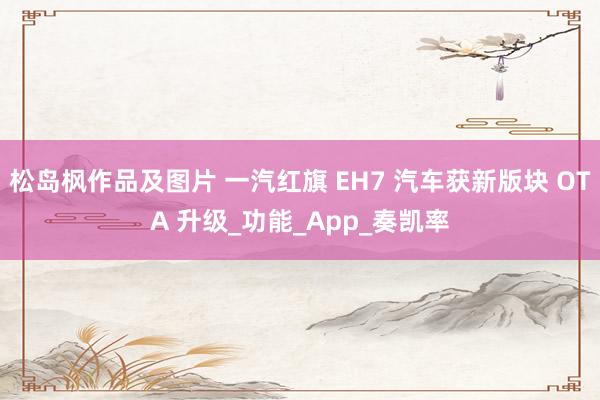 松岛枫作品及图片 一汽红旗 EH7 汽车获新版块 OTA 升级_功能_App_奏凯率
