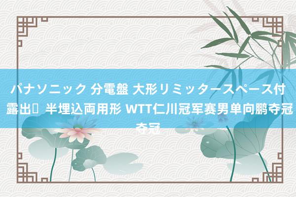 パナソニック 分電盤 大形リミッタースペース付 露出・半埋込両用形 WTT仁川冠军赛男单向鹏夺冠