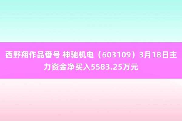 西野翔作品番号 神驰机电（603109）3月18日主力资金净买入5583.25万元