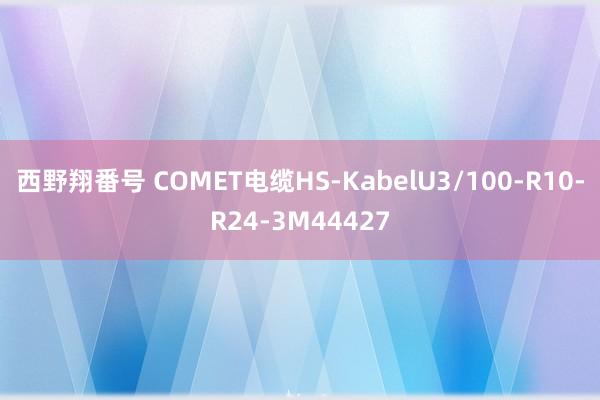 西野翔番号 COMET电缆HS-KabelU3/100-R10-R24-3M44427