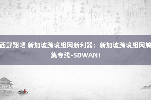 西野翔吧 新加坡跨境组网新利器：新加坡跨境组网鸠集专线-SDWAN！