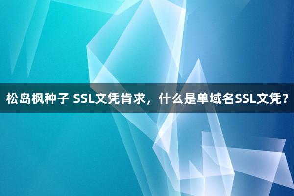 松岛枫种子 SSL文凭肯求，什么是单域名SSL文凭？