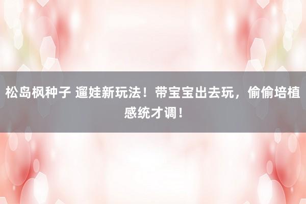 松岛枫种子 遛娃新玩法！带宝宝出去玩，偷偷培植感统才调！