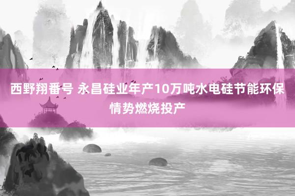 西野翔番号 永昌硅业年产10万吨水电硅节能环保情势燃烧投产