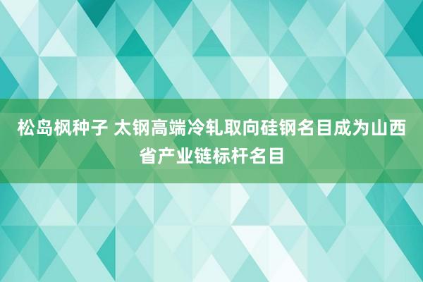 松岛枫种子 太钢高端冷轧取向硅钢名目成为山西省产业链标杆名目