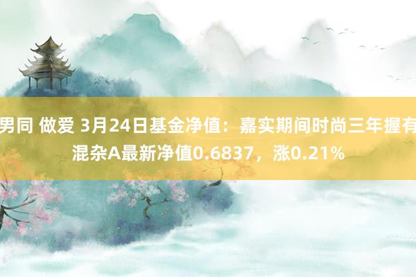 男同 做爱 3月24日基金净值：嘉实期间时尚三年握有混杂A最新净值0.6837，涨0.21%