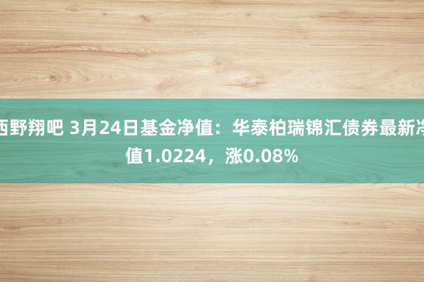 西野翔吧 3月24日基金净值：华泰柏瑞锦汇债券最新净值1.0224，涨0.08%