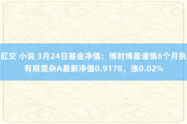 肛交 小说 3月24日基金净值：博时博盈谨慎6个月执有期混杂A最新净值0.9178，涨0.02%