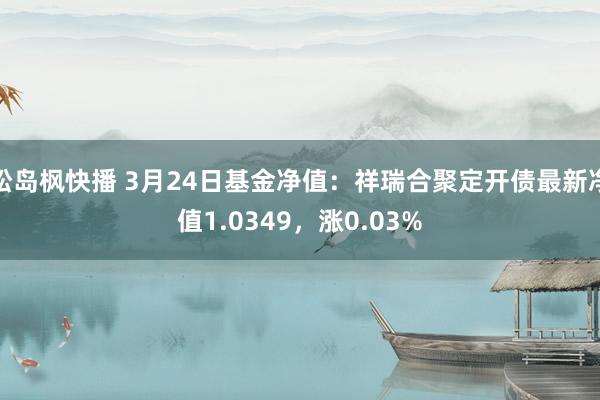 松岛枫快播 3月24日基金净值：祥瑞合聚定开债最新净值1.0349，涨0.03%