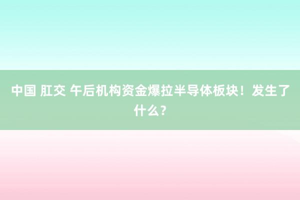 中国 肛交 午后机构资金爆拉半导体板块！发生了什么？