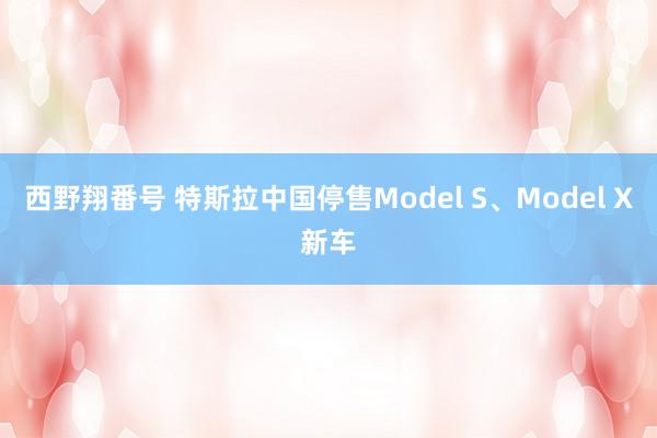 西野翔番号 特斯拉中国停售Model S、Model X新车