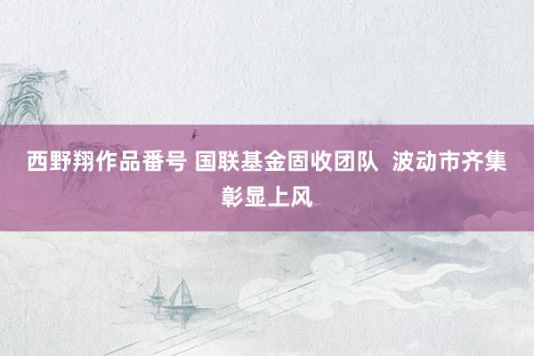 西野翔作品番号 国联基金固收团队  波动市齐集彰显上风