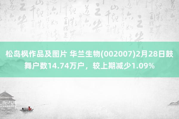 松岛枫作品及图片 华兰生物(002007)2月28日鼓舞户数14.74万户，较上期减少1.09%