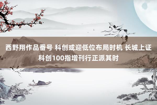 西野翔作品番号 科创或迎低位布局时机 长城上证科创100指增刊行正派其时