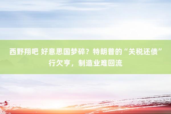 西野翔吧 好意思国梦碎？特朗普的“关税还债”行欠亨，制造业难回流