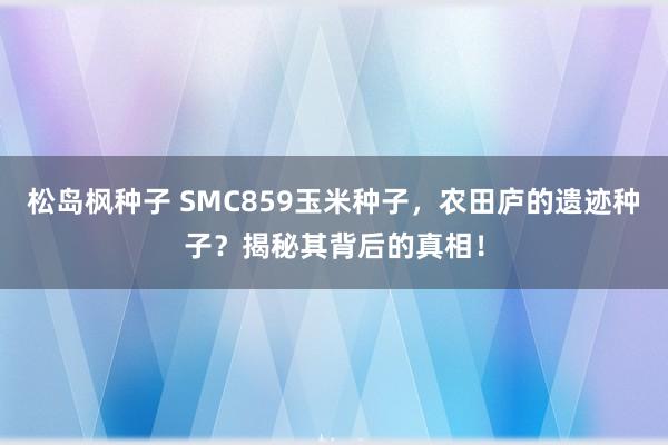 松岛枫种子 SMC859玉米种子，农田庐的遗迹种子？揭秘其背后的真相！