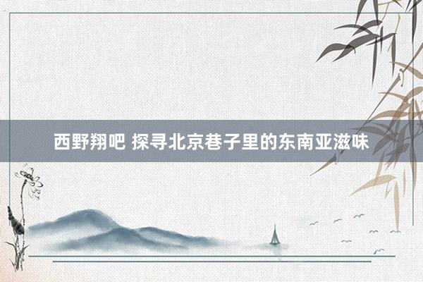 西野翔吧 探寻北京巷子里的东南亚滋味