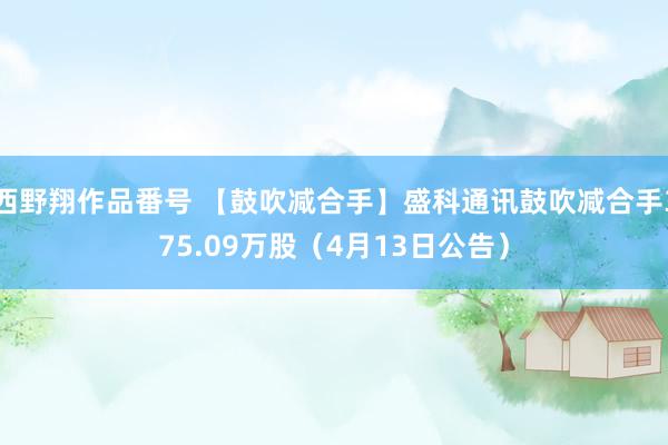 西野翔作品番号 【鼓吹减合手】盛科通讯鼓吹减合手375.09万股（4月13日公告）