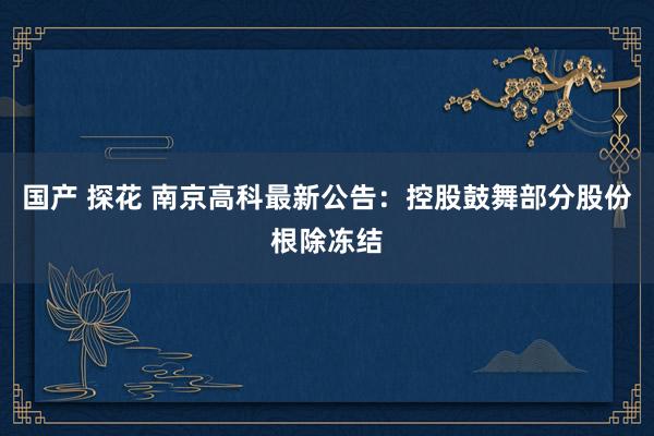 国产 探花 南京高科最新公告：控股鼓舞部分股份根除冻结
