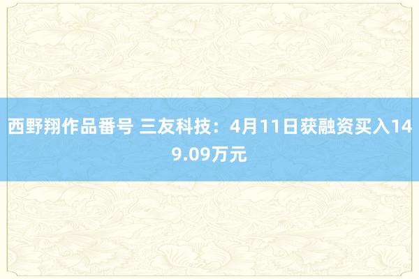 西野翔作品番号 三友科技：4月11日获融资买入149.09万元