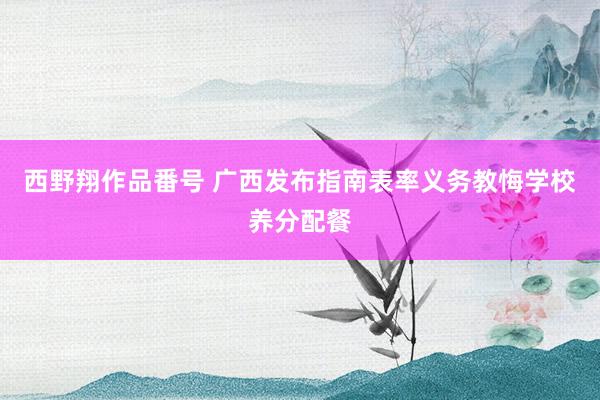 西野翔作品番号 广西发布指南表率义务教悔学校养分配餐