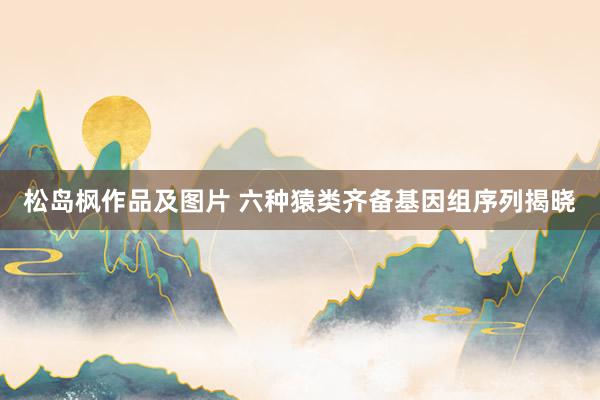 松岛枫作品及图片 六种猿类齐备基因组序列揭晓
