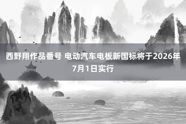 西野翔作品番号 电动汽车电板新国标将于2026年7月1日实行