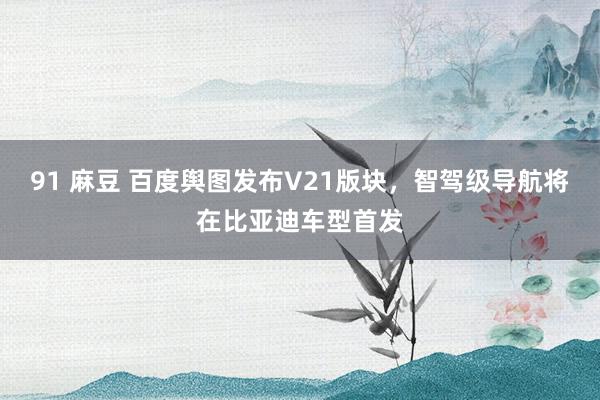 91 麻豆 百度舆图发布V21版块，智驾级导航将在比亚迪车型首发