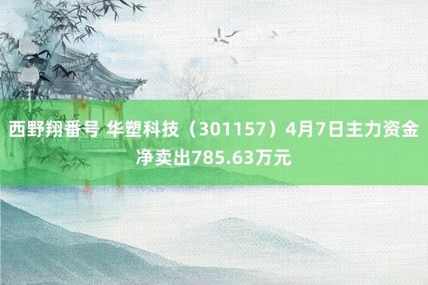 西野翔番号 华塑科技（301157）4月7日主力资金净卖出785.63万元